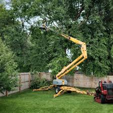 Best Arborist Consultation Services  in Cudjoe Key, FL