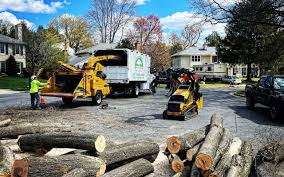 Best Lawn Drainage Solutions  in Cudjoe Key, FL