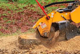 Best Lawn Grading and Leveling  in Cudjoe Key, FL