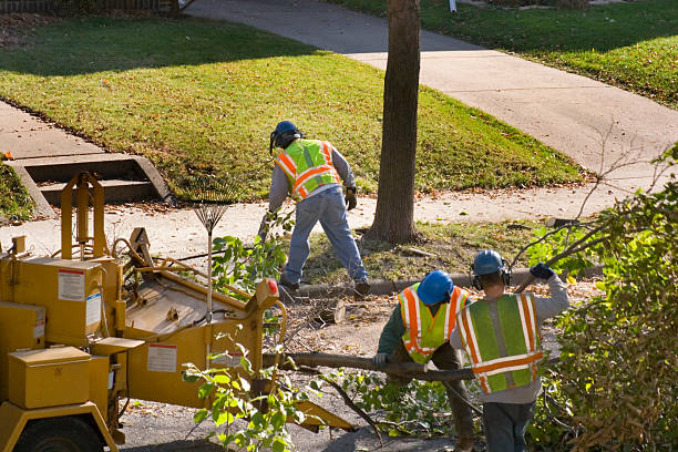 Best Lawn Watering Services  in Cudjoe Key, FL