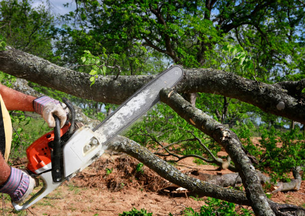 Best Soil Testing and Treatment  in Cudjoe Key, FL